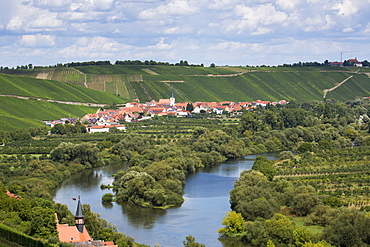 View from Escherndorfer Fuerstenberg vineyard across on Mainschleife of Main river with Koehler and Escherndorf in distance, nea