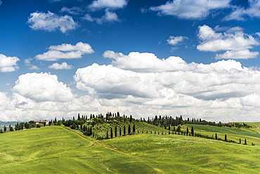 Landscape near Crete Senesi, near Siena, Tuscany, Italy