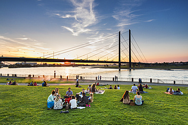 Sunset at the Rhine meadows, Duesseldorf, North Rhine Westphalia, Germany