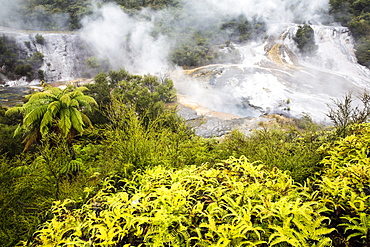 Sinter terraces at Orakei Korako (Hidden Valley) geothermal area, Taupo Volcanic Zone, North Island, New Zealand