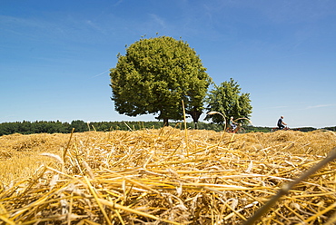 Cyclists on a trip over summer fields on the outskirts of Munich. Aubing, Munich, Bavaria, Germany