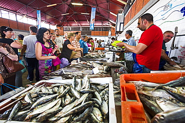 Fish market, market hall, Olhao, Algarve, Portugal