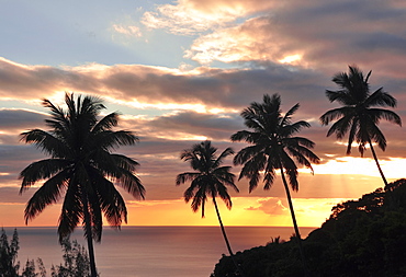 sunset with view to palm trees und Caribbean sea, Soufriere, St. Lucia, Saint Lucia, Lesser Antilles, West Indies, Windward Islands, Antilles, Caribbean, Central America