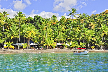 Palm trees, bar, parasols and boat at Anse Mamin beach, Anse Chastanet, sea, Soufriere, St. Lucia, Saint Lucia, Lesser Antilles, West Indies, Windward Islands, Antilles, Caribbean, Central America