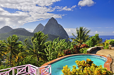 swimming pool of La Haut Plantation hotel with view to palm trees and volcano mountains The Pitons with Gros and Petit Piton, UNESCO world heritage, Soufriere, St. Lucia, Saint Lucia, Lesser Antilles, West Indies, Windward Islands, Antilles, Caribbean, Central America