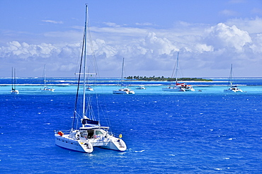 sailing ships on the sea and Baradel island, Horseshoe Reef, Tobago Cays, St. Vincent, Saint Vincent and the Grenadines, Lesser Antilles, West Indies, Windward Islands, Antilles, Caribbean, Central America