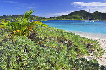 tropical beach with sailing ship, sea, Sandy Island, Carriacou, Grenada, Lesser Antilles, West Indies, Windward Islands, Antilles, Caribbean, Central America