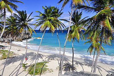 young woman on a tropical beach with palm trees, sea, Bottom Bay, south coast, Barbados, Lesser Antilles, West Indies, , Windward Islands, Antilles, Caribbean Islands, Central America