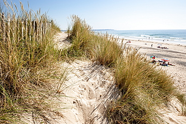 Dunes and beach at Baubigny, Normandy, France, Europe, Atlantic Ocean