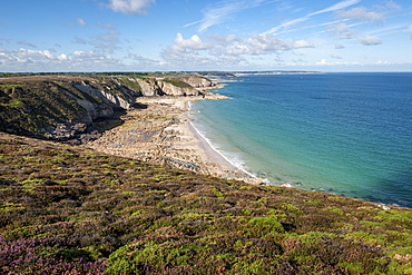 Coastal landscape at Cap Frehel, Cote d´Emeraude, Bretagne, France, Europe, Atlantic Ocean