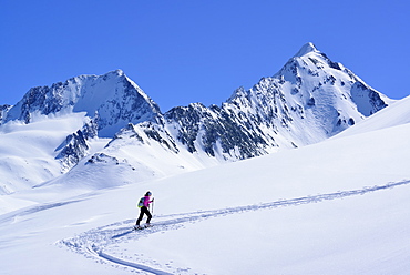 Female back-country skier ascending to Eiskoegele, Obergurgl, Oetztal Alps, Tyrol, Austria