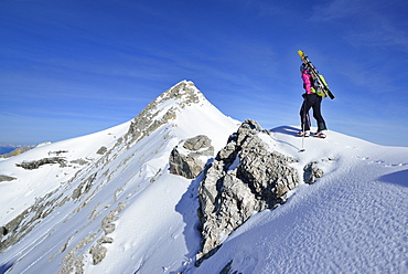 Female back-country skier ascending Oedkarspitze, Karwendel, Tyrol, Austria