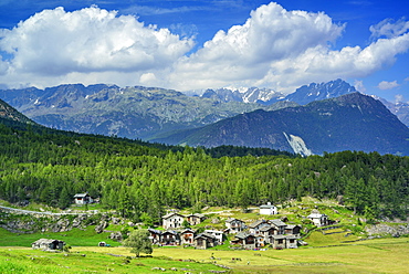 Alpine village Alp Lago with Bernina range in background, Alp Lago, Val Malenco, Sentiero Roma, Bergell range, Lombardy, Italy