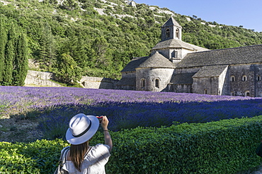 lavender field in front of the Abbaye de Senanque abbey, near Gordes, the Vaucluse, Provence-Alpes-Cote d’Azur, France