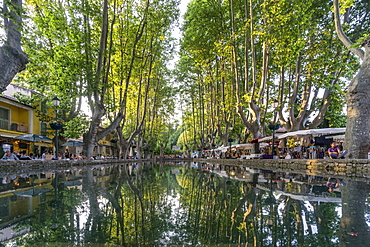 The Etang, Pond with Platane trees, Cucuron, Provencial Village, Vaucluse department, Lubern, Provence-Alpes-Cote d’Azur, France