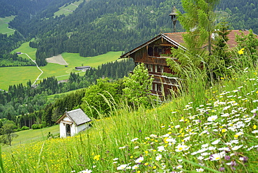 View over a flower meadow to an alpine farmhouse, Penningberg, Hopfgarten im Brixental, Kitzbuehel Alps, Tyrol, Austria