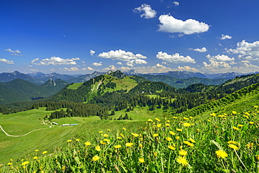 View over Rauhalm to mountain scenery, Seekarkreuz, Bavarian Prealps, Upper Bavaria, Bavaria, Germany