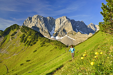 Woman hiking along trail, Lamsenspitze, Schafkarspitze and Hochglueck in background, Karwendel, Tyrol, Austria