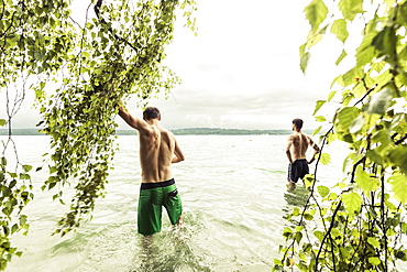 two young men going swimming in Lake Starnberg near a birch tree, Berg, Upper Bavaria, Germany