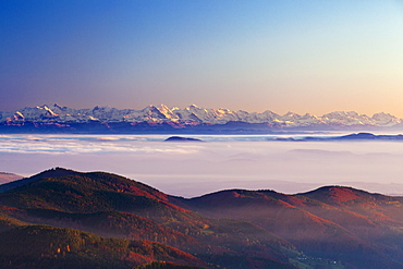 View from Belchen over the fog towards the Alps with Eiger, Moench and Jungfrau, Black Forest, Baden-Wuerttemberg, Germany