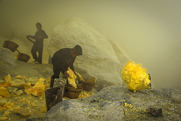 Miners of the devil mine of Ijen volcano loading transport baskets with sulfur - Indonesia, Java