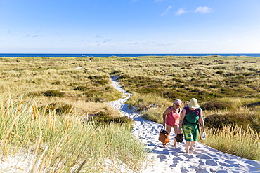 Dream beach and dunes of Dueodde, sandy beach, Summer, Baltic sea, Bornholm, Dueodde, Denmark, Europe