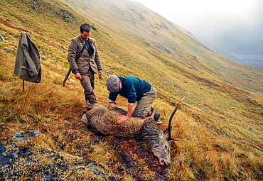 Hunter with wild game, Scotland, UK, Europe