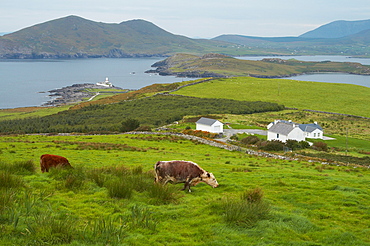 outdoor photo, lighthouse of Valentia Island, County Kerry, Ireland, Europe