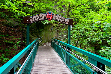 Teufelsbruecke, Bodetal, hiking trail, Harz, summer, valley, forest, Saxony-Anhalt, Germany