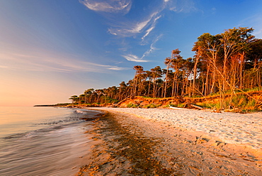 Summer, Beach, West Beach, Sunset, Baltic Sea, Mecklenburg, Germany, Europe