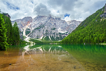 Reflection, Lago Di Braies, Lago Di Braies, Seekofel, Dolomites, Alps, Italy, Europe