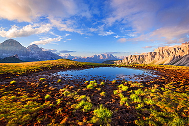 Passo Giau, Monte Cristallo, Formin, Meadow, Dolomites, Alps, Italy, Europe