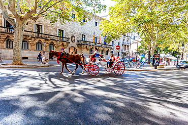 Horse carriage in the old town of Palma, historic city centre, Ciutat Antiga, Palma de Mallorca, Majorca, Balearic Islands, Mediterranean Sea, Spain, Europe