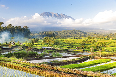 Tropical scenery with paddy fields, Gunung Agung, near Sidemen, Bali, Indonesia