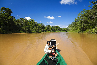 Rainforest at Tambopata river, Tambopata National Reserve, Peru, South America