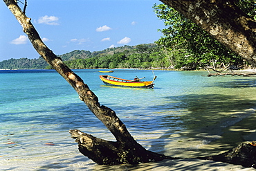 Rainforest meets beach, Elephant Beach with boats, Havelock Island, Andaman Islands, India