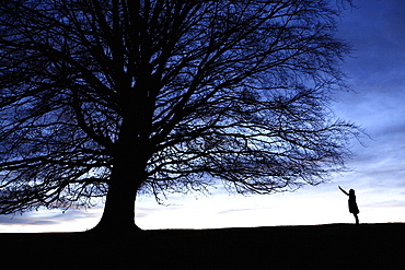 Young woman reaching for a tree, Fussen, Bavaria, Germany