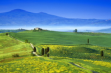 Scenery with country house under blue sky, view to Monte Amiata, Val d´Orcia, Tuscany, Italy, Europe