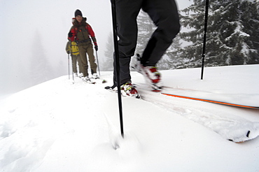 Ski tour at Hochgrat, Allgäu Alps, Bavaria, Germany, Europe