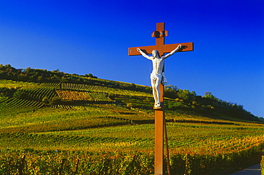 Cross in the Vineyard at Sigolsheim,Elsass,France