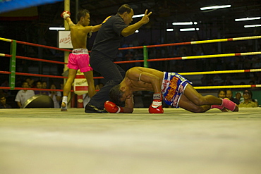 Thai boxer lying on ground, referee counting out, Thai Boxing, Lumphini Stadium, Bangkok, Thailand