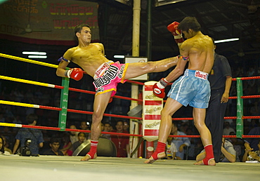 Thai Boxing, Lumphini Stadium, Bangkok, Thailand