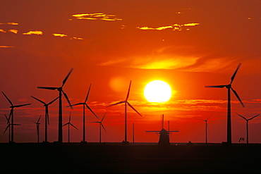 Wind Turbines and old windmill at sunset, North Sea, Netherlands