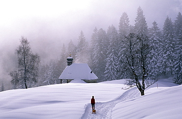 Sledging at Lustenauer Huette, Schwarzenberg, Bregenzer Wald, Vorarlberg, Austria