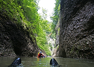 Men glinding through river, swim and hike canyon Raebloch, Emmental valley, Canton of Bern, Switzerland, MR