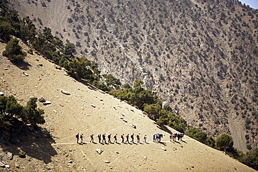 A trekking group and their mules, Toubkal Region, Atlas Mountains, Morocco, North Africa