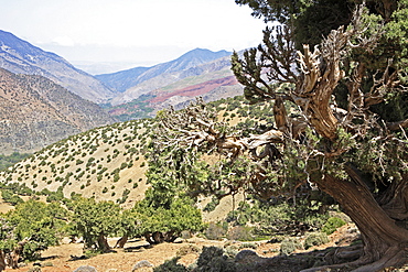 View to Tizi Oussem, Toubkal Region, Atlas Mountains, Morocco, North Africa