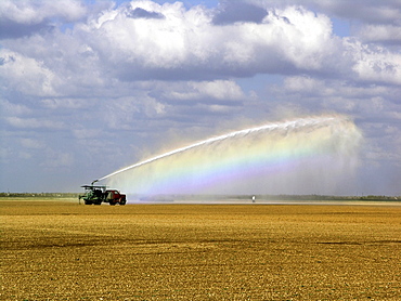 Field being irrigated, Farmground near Miami, Florida, USA