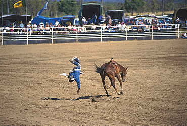 Rodeo, Mareeba, Queensland, Australia