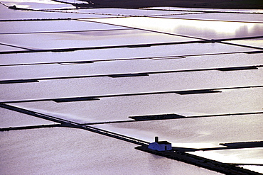 Salines near San Rafael, Ibiza, Balearic Islands, Spain